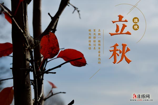 河南汽车维修平台APP