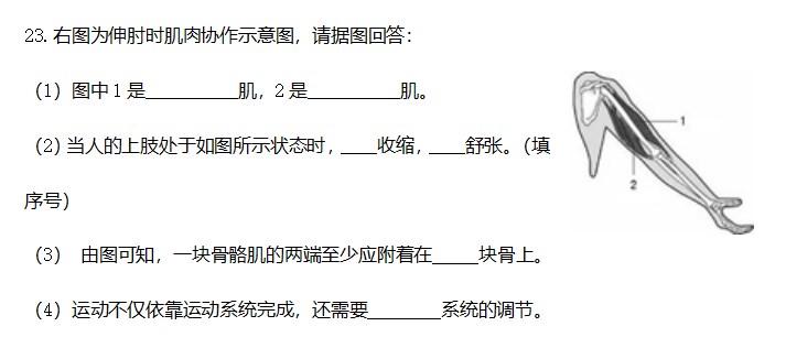 快速还原精灵