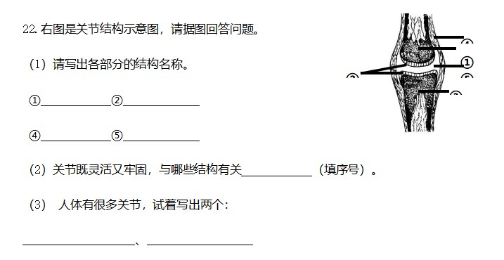 百姓彩票网官网首页V4.2专业版