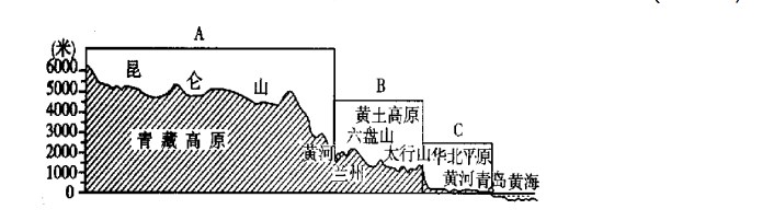 多米体育app