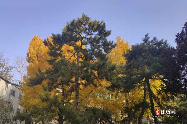 kaiyun体育app官网下载安装方法安卓版二维码