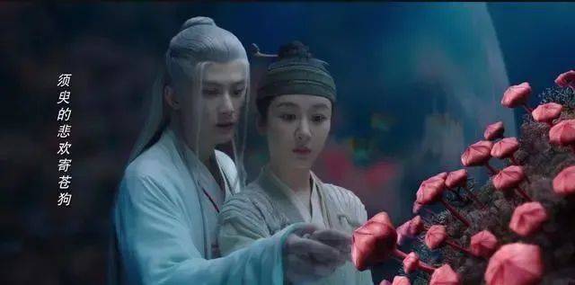 开云kaiyun官方网站app安卓版二维码