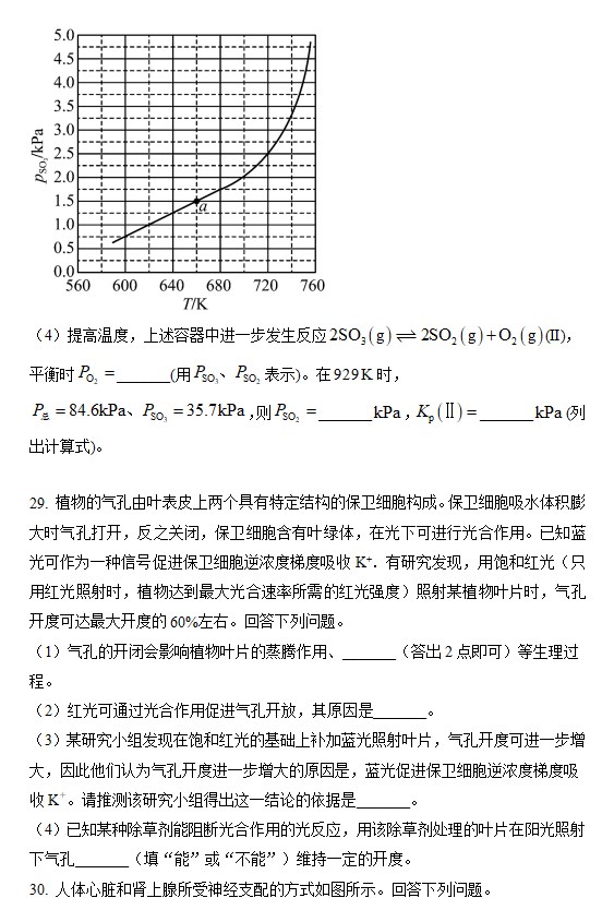 世界杯投注网站app2025版精美像素艺术场景