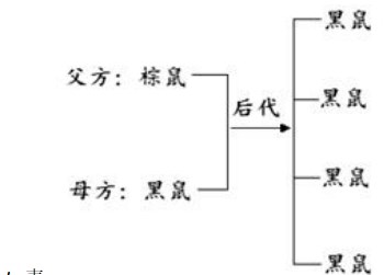 邮递小骑士游戏