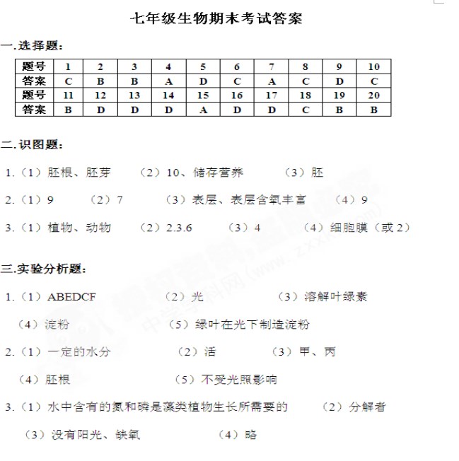 BETVTOR伟德下载安卓版二维码