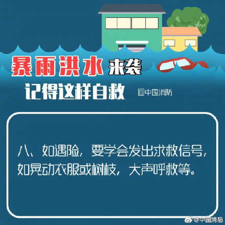 外围足球软件appappV8.3专业版