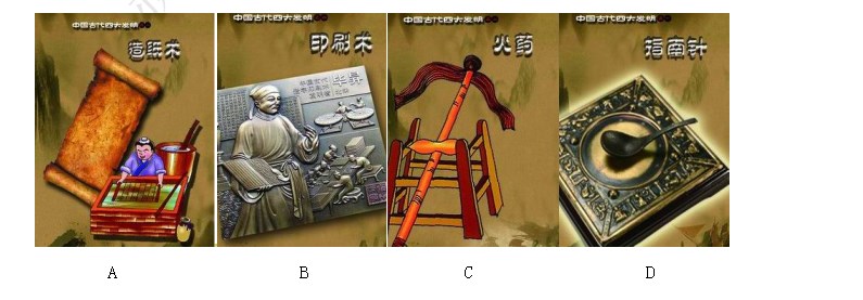 百博乐app2025最新版森林环境展示