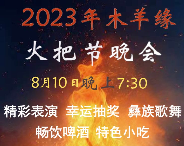 足球小将2025版 账号管理与数据保存界面