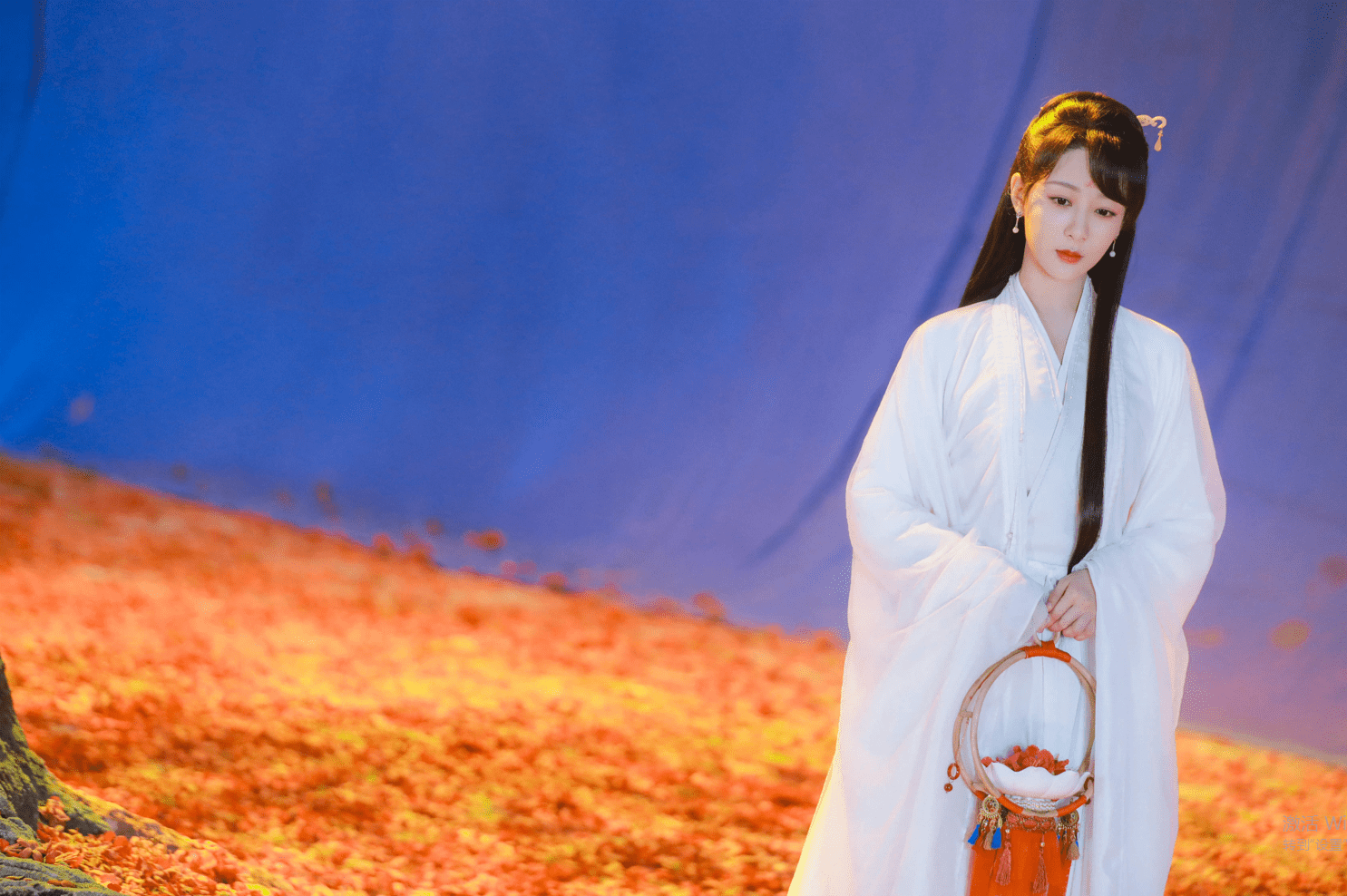 星空体育appV4.1专业版