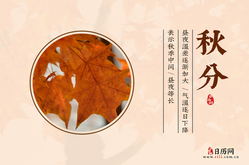 小熊洗车APP