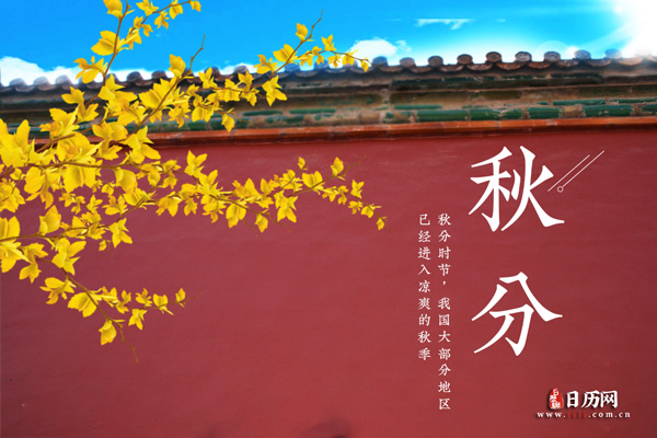万能字典手机版