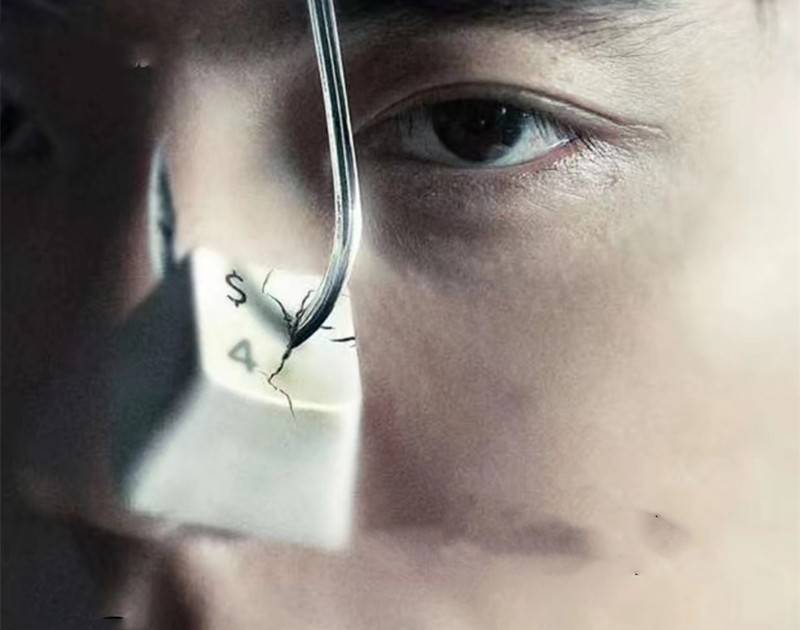 开云官方网页版登录入口V9.8专业版