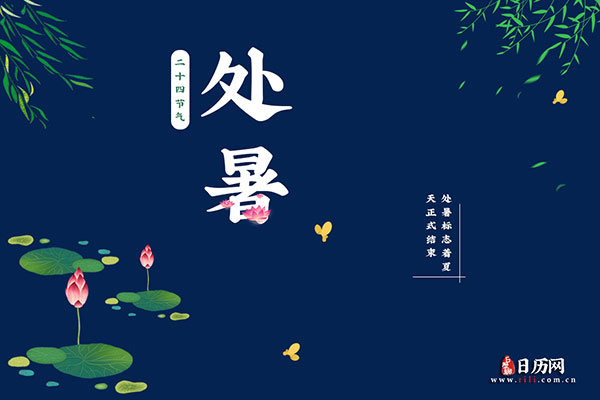 贵州药材APP
