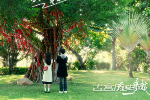 金梅小黑歪体字形繁体