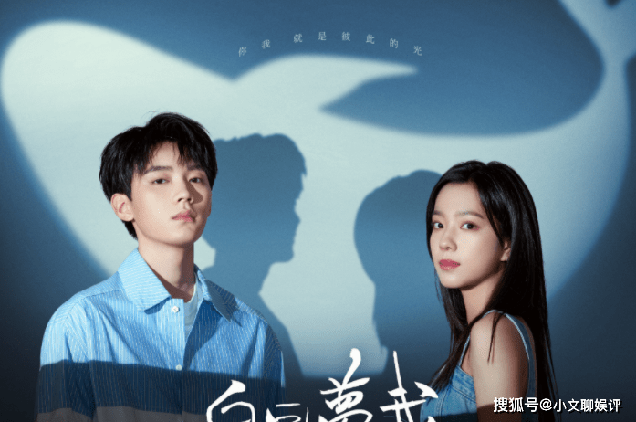 贵州药材APP