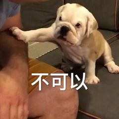 sim卡数据恢复软件