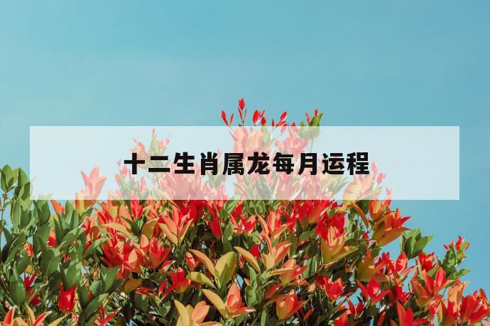 kaiyunapp最新官方下载2025最新版装备强化界面