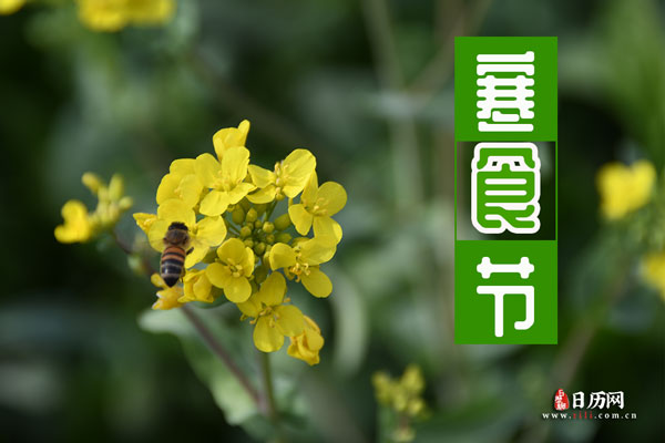 小熊洗车APP