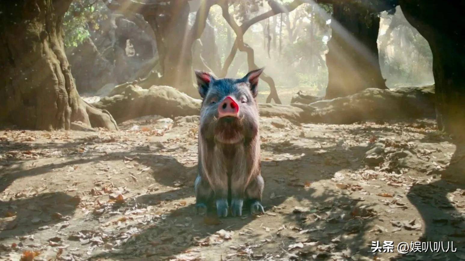 乐彩票app安卓版二维码