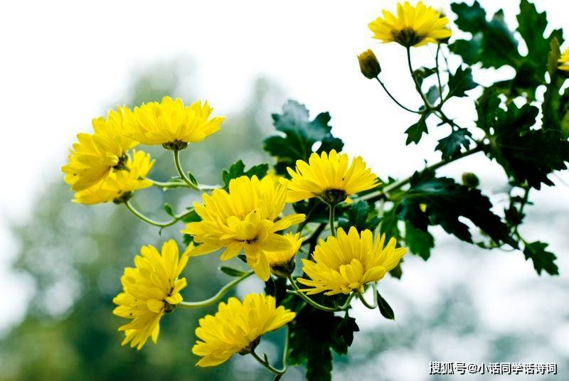 灵魂筹码2025版游戏总结与角色集合