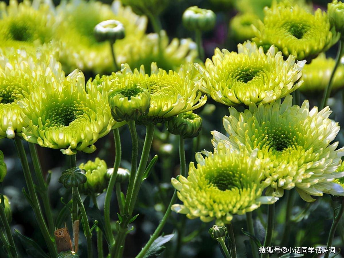 开云app官方体育app安卓版二维码