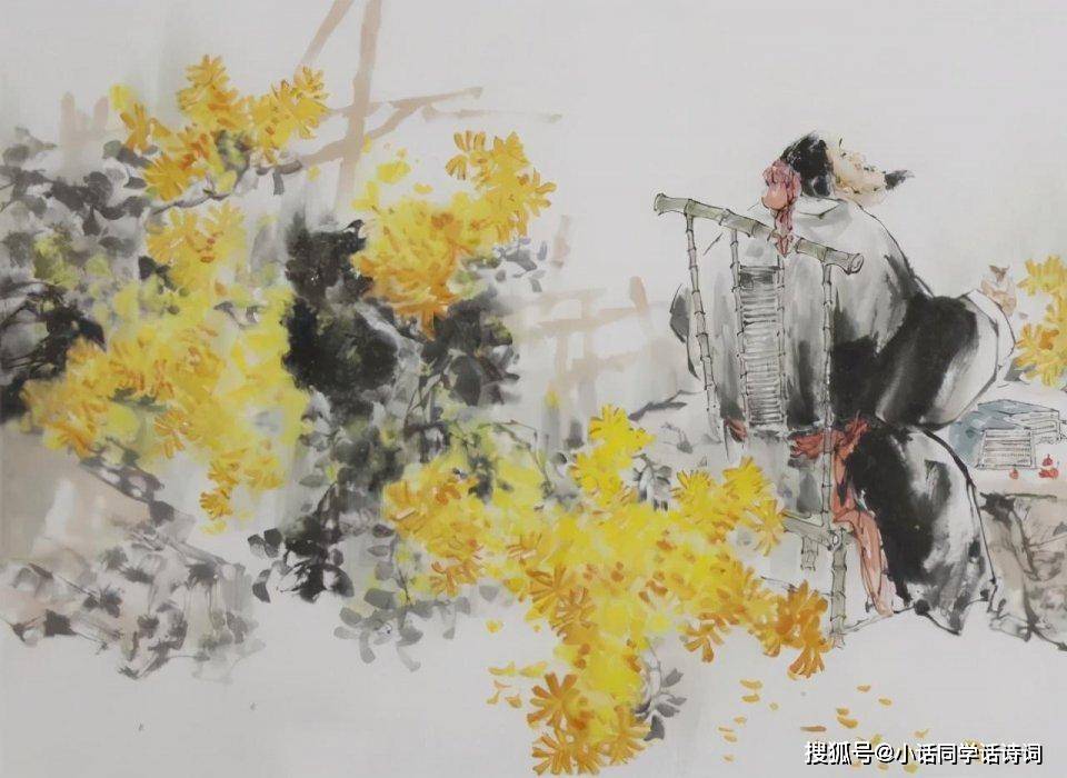 acdsee完整中文版