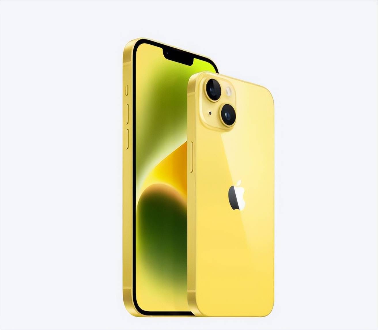 彩宝网appV1.1专业版