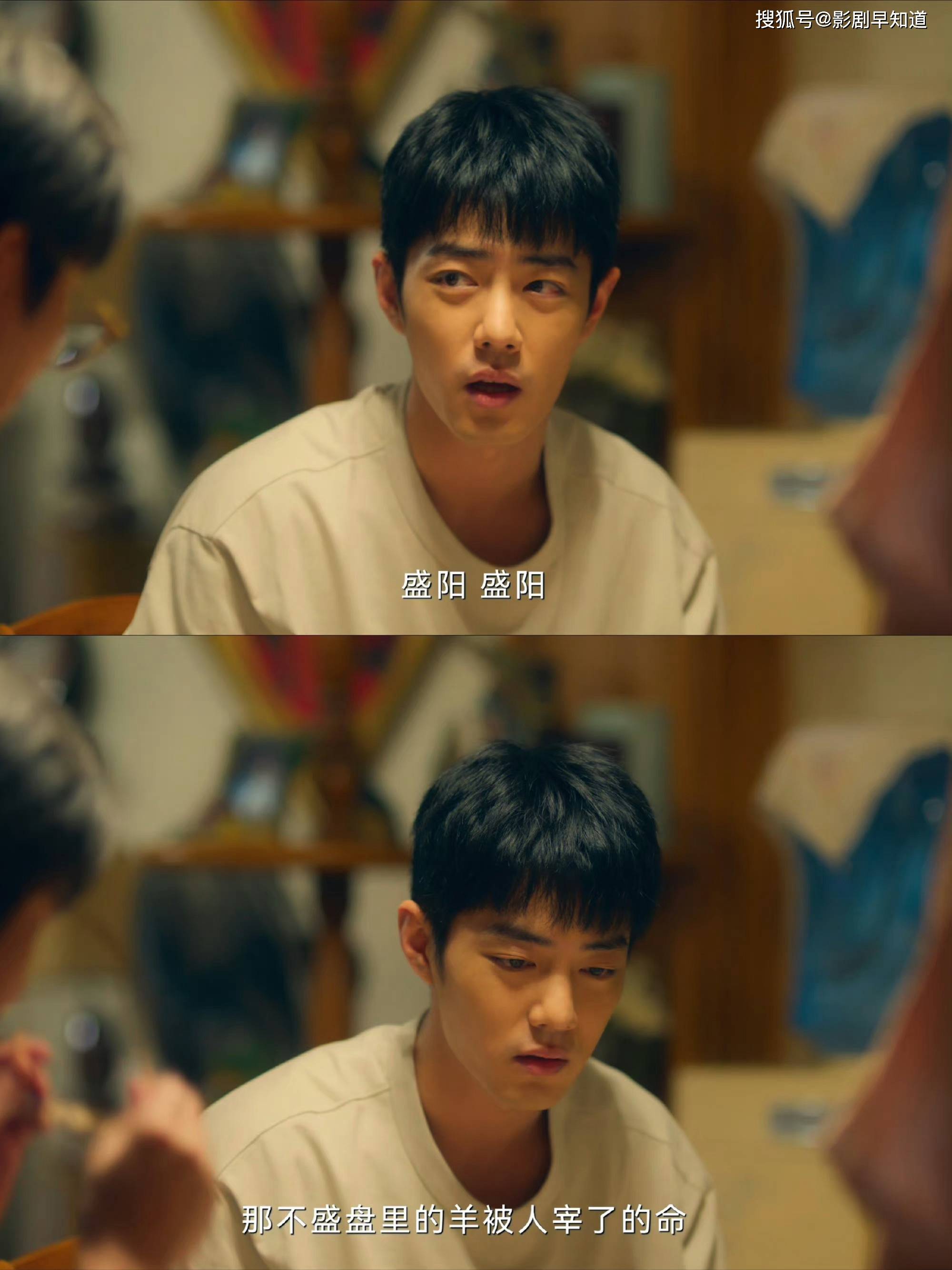 BGSportsV3.5专业版