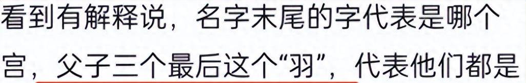 赛酷体育appV3.8专业版