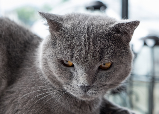 开云app官方在线登录最新版科技树与建筑界面