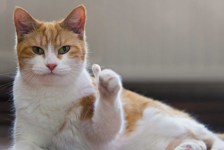 kaiyun体育app官网下载安装所需权限V1.7专业版