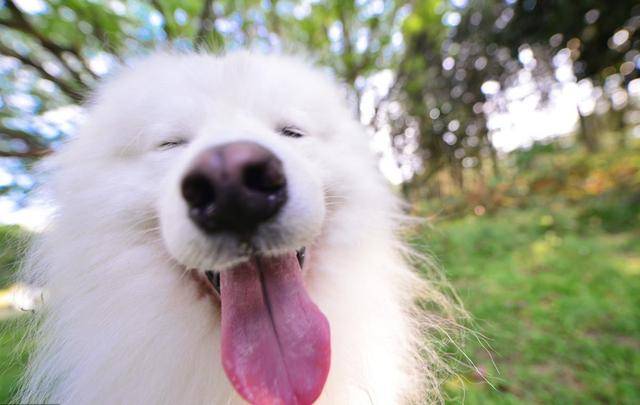 ACDSee Photo Manager 2009