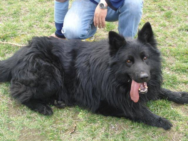 糖豆人2025版更新内容界面概览