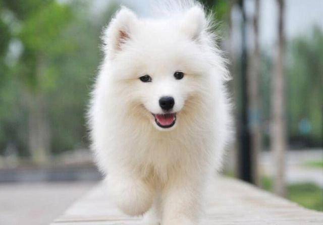 河南汽车维修平台APP