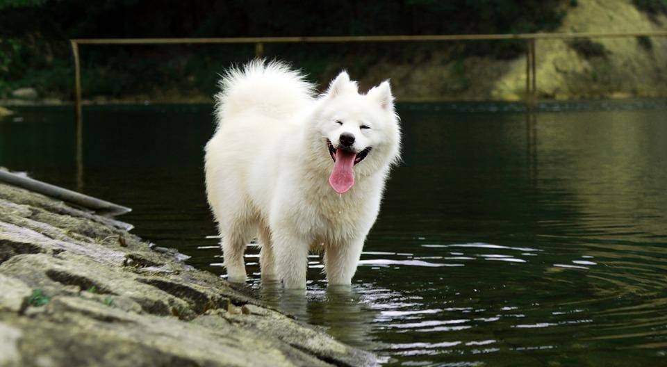 电子pg娱乐官方入口安卓版二维码