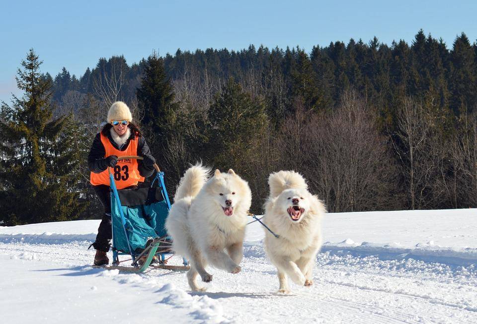 qq游戏大厅2016老版本