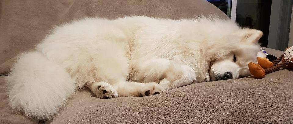 河南汽车维修平台APP