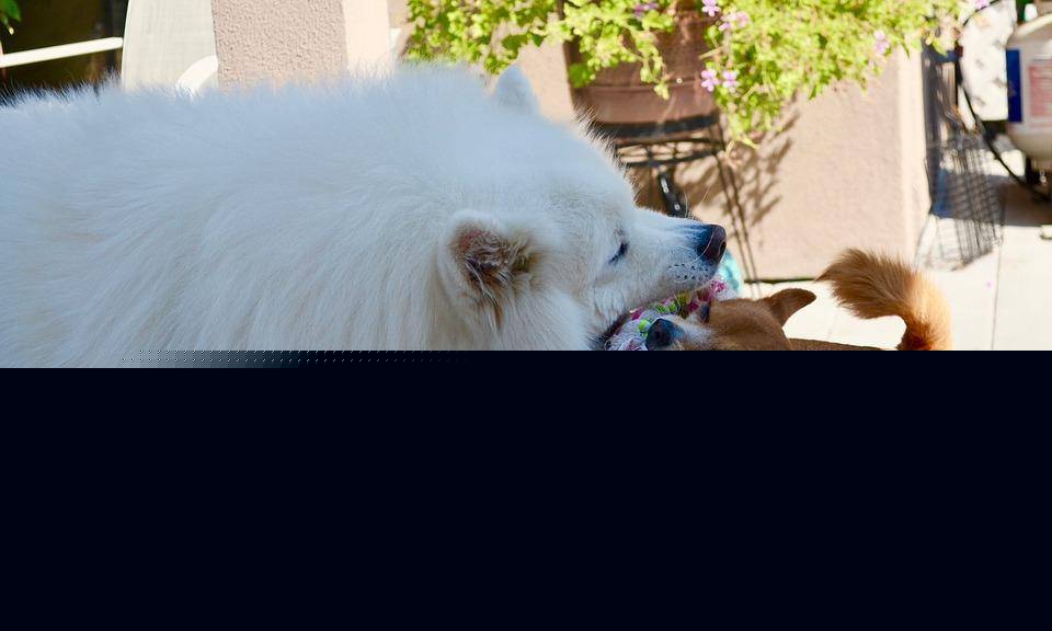 DU Meter 服务器流量检测工具