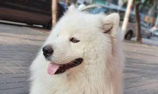 196娱乐appV6.9专业版