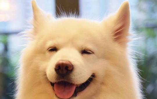 wanbetx体育网页版入口安卓版二维码