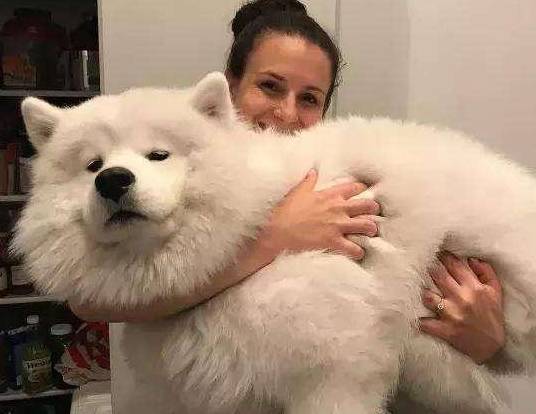 河南汽车维修平台APP