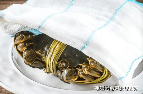 雷火电竞app安卓版二维码