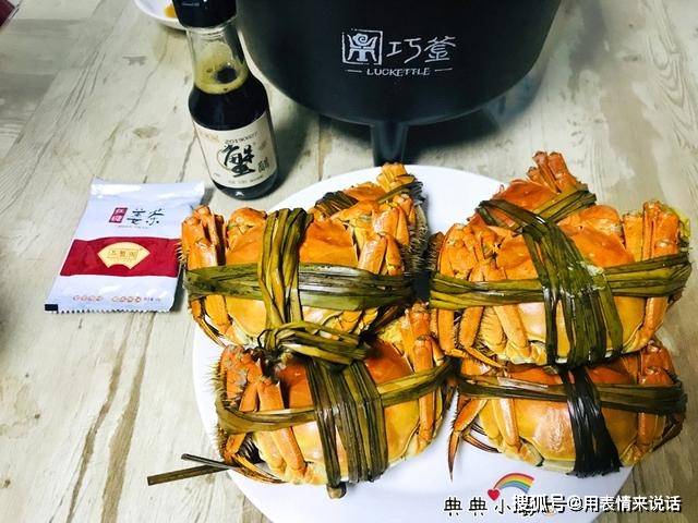 displaylink usb graphics device