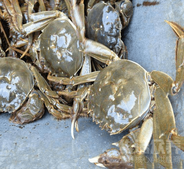 迅雷方舟电脑版(免费资源下载)