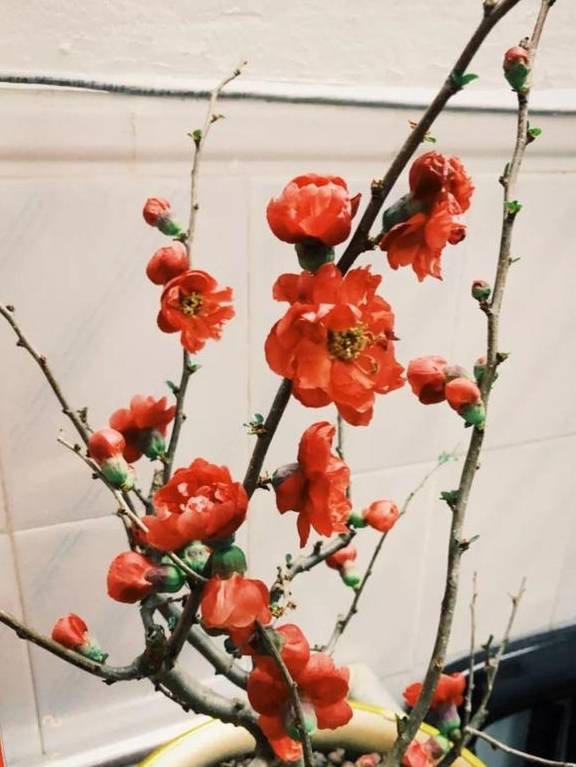 AG亚游app与同类游戏场景对比