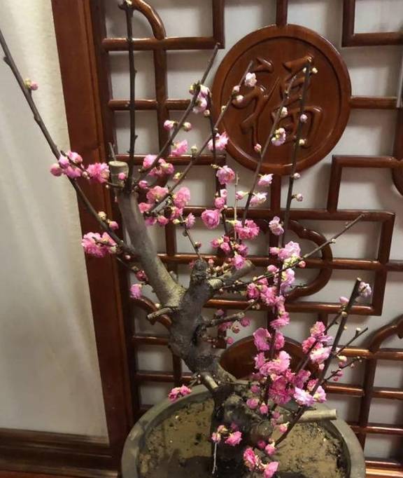 开云官方登录网站V9.5专业版