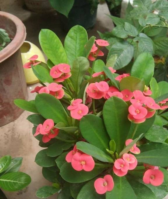 Kaiyun体育app官网入口快速登录V1.7专业版