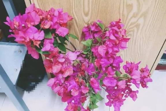 28圈游戏登录安卓版二维码