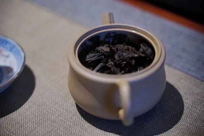 车行无忧查违章