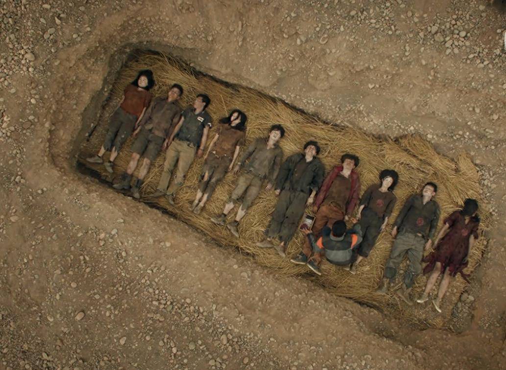 半岛体体育appV6.8专业版